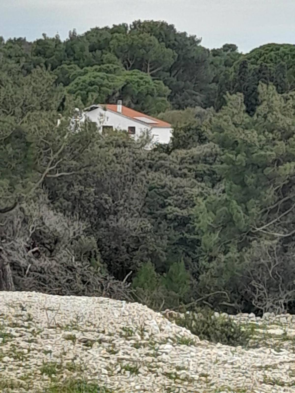 Eco Secluded Apartments Zabodarski Cunski Exterior photo
